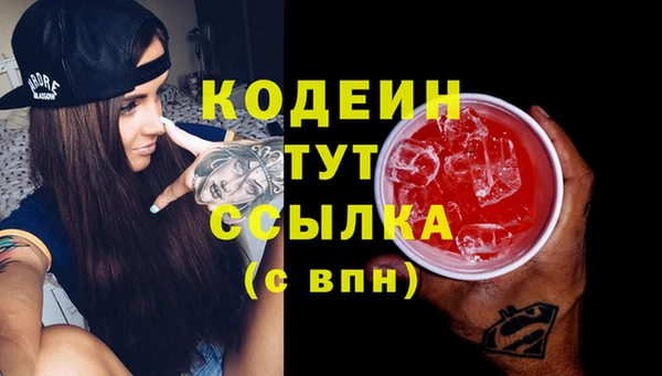 прущие грибы Армянск
