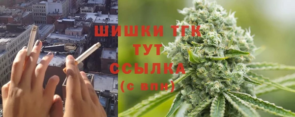 спайс Арсеньев