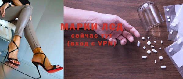 прущие грибы Армянск