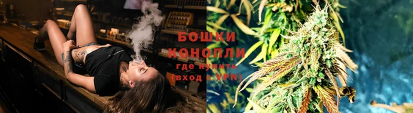 прущие грибы Армянск